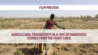 Trailer: Agricultural Productivity in a Time of Pandemics