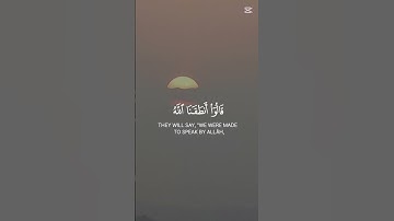 ( وقالوا لجلودهم لم شهدتم علينا ) #سورة_فصلت