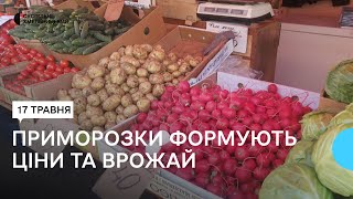 Яка вартість ранніх овочів та ягід на хмельницьких ринках