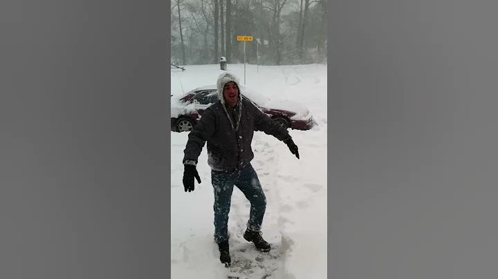 Vb snow angel