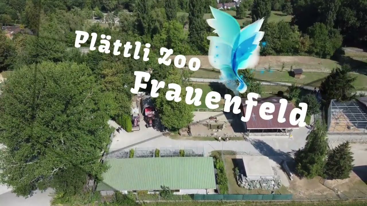 Plättli ZOO aus der Luft / DJI mini Switzerland / Frauenfeld / 8500 / Zoo / Kanton Thurgau