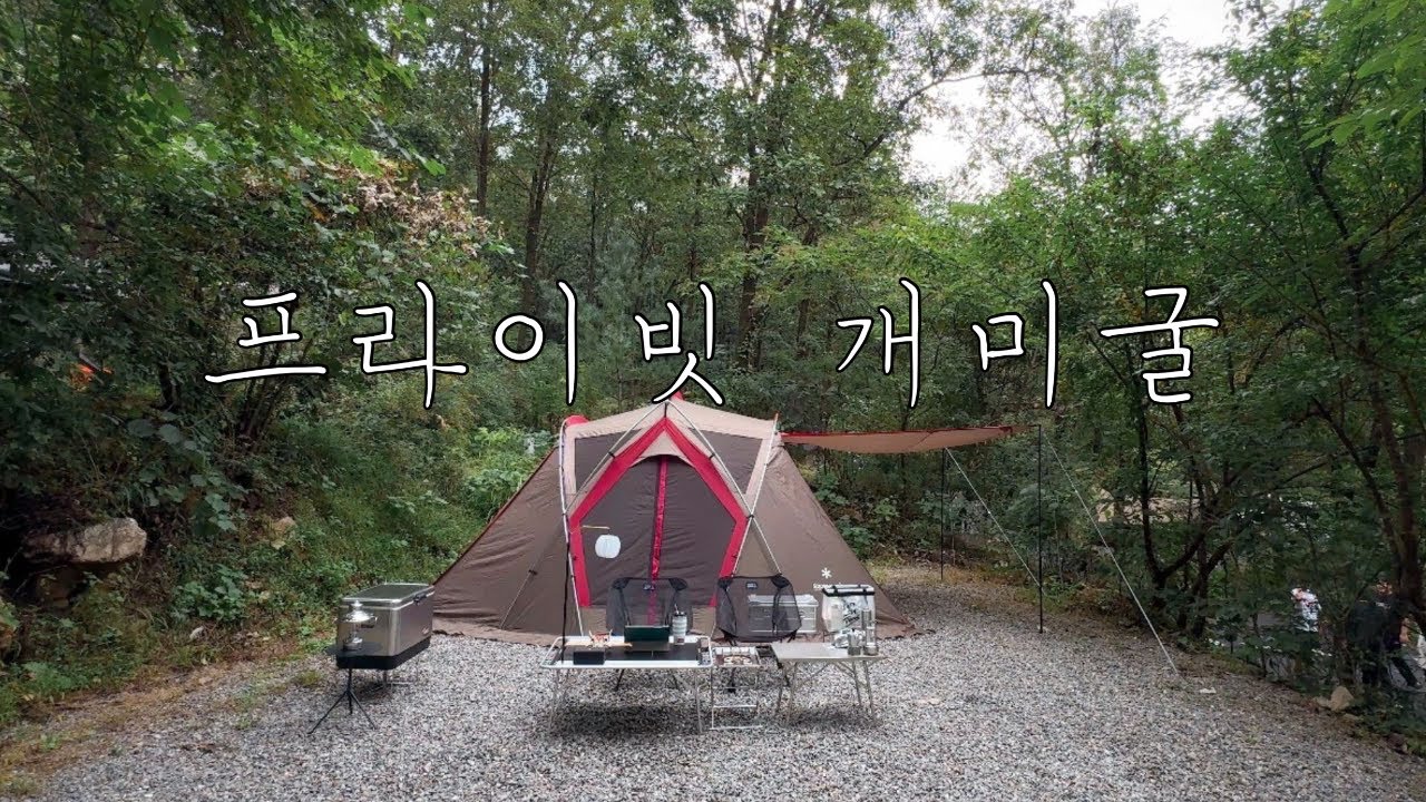 개미굴 처럼 프라이빗한 캠핑장에서 1박 🐜 스노우피크 리빙쉘 3인가족 첫피칭ㅣ첫 가을 캠핑 🍂 애견동반캠핑ㅣ가족캠핑 브이로그ㅣ춘천 더숲캠핑장 