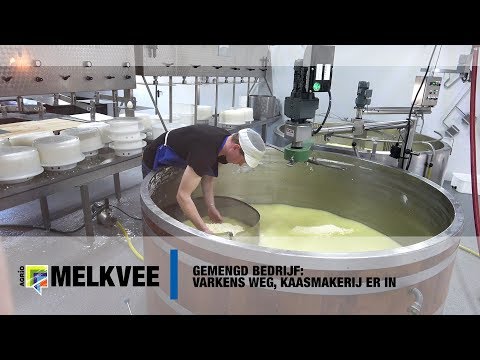 Kaas maken in oude varkensstal - Kaasboerderij de Buitenhoeve