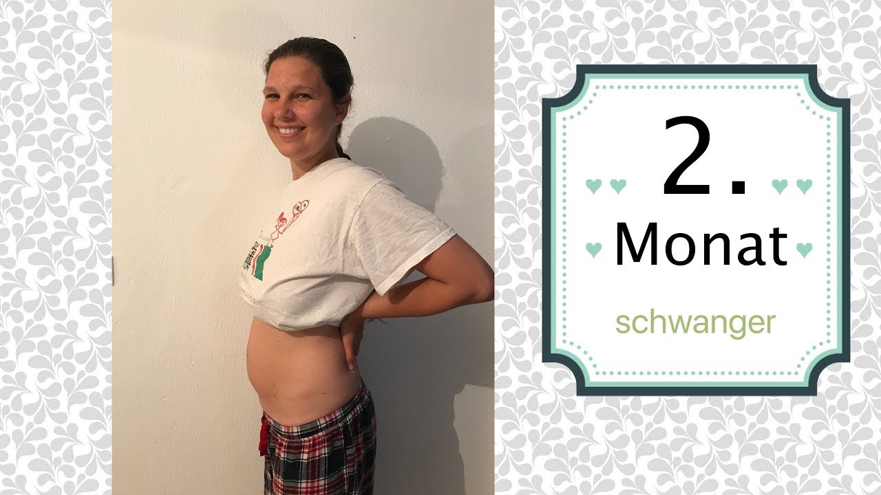 4 Ssw 8 Ssw Schwangerschaft Update Schwanger Mit Wunder Nr 2 Annikasleben Youtube