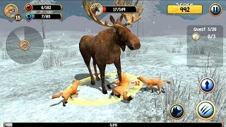 Wild Fox Sim 3D Android Gameplay screenshot 4