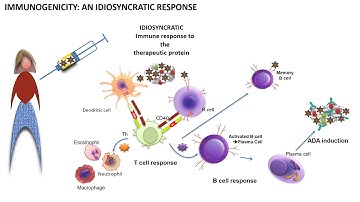 Immunogenicity explained in 6 minutes
