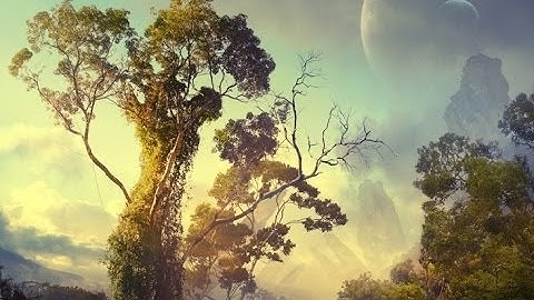 Pandora 1: Relevance & Times - PREVIOUS VIDEO