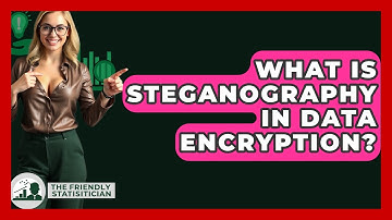What Is Steganography In Data Encryption? - The Friendly Statistician