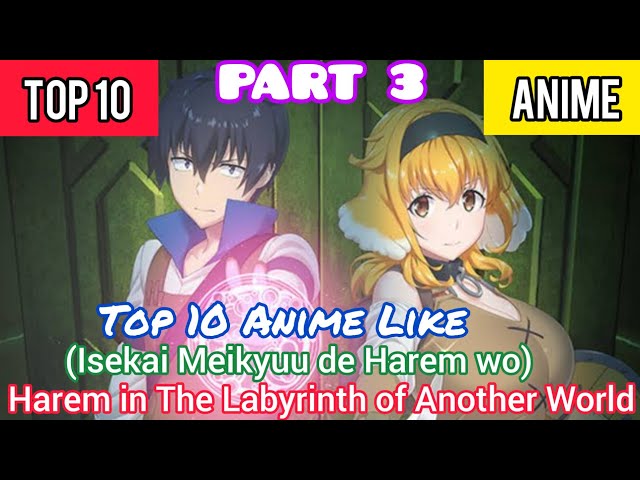 Top 10 Anime Like Harem in The Labyrinth of Another World 