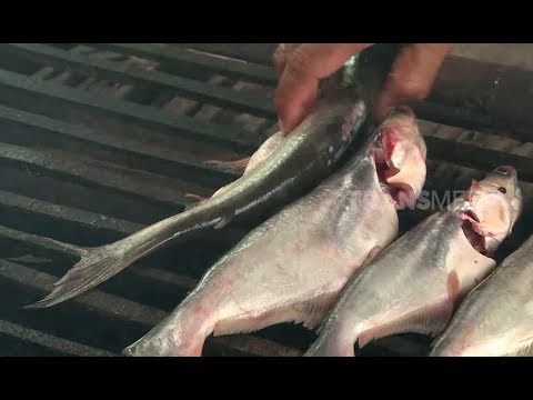 Ikan Asap Taboh | JEJAK SI GUNDUL (22/08/19) Part 1 ragam song