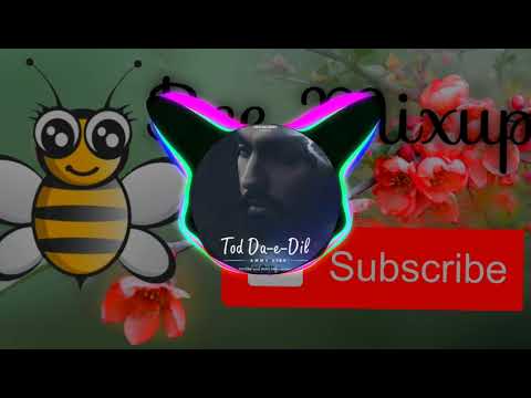 tod-da-e-dil-(-bee-mixup-)-,-beautiful-song-tod-da-e-dil-(-punjabi-album-song)