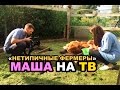 МАША на ТВ! &quot;Нетипичный фермер&quot;