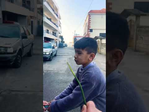 اه بدنا نروح بدنا نهدي شوي