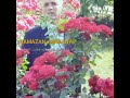 RAMAZAN Rahmany رمضان رحمانی از کوه مغان