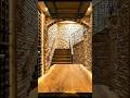 Secret Underground Wine Cellar 😍🍷 #shorts