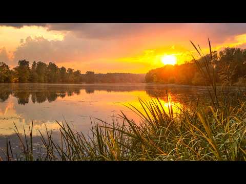 The Old Rugged Cross (Instrumental) Traditional Beautiful Peaceful Hymn arranged by Tim Janis