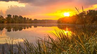 The Old Rugged Cross (Instrumental) Traditional Beautiful Peaceful Hymn arranged by Tim Janis