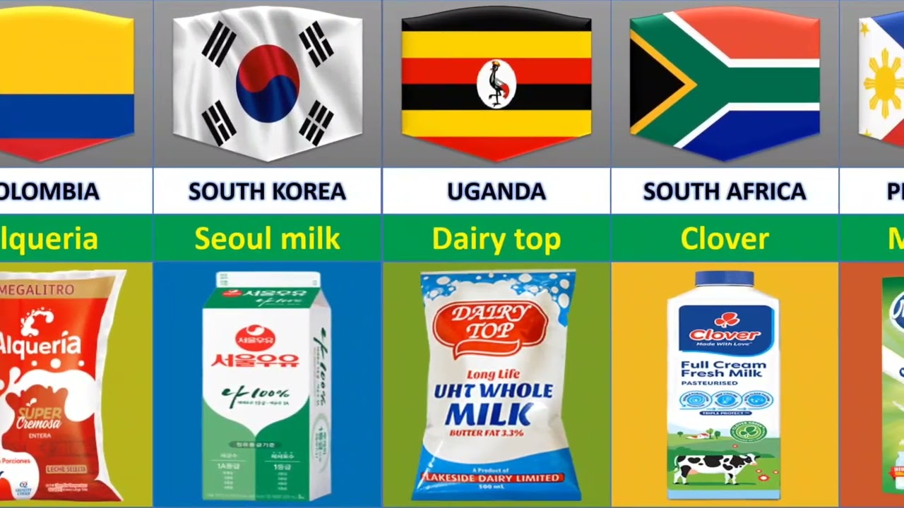 Milk Brand From Different Countries | Dairy Company By Countries