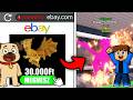 MEGVETTEM VIDEÓSOK LEGJOBB BRAINROTJAIT A STEAL A BRAINROT ROBLOXBAN!