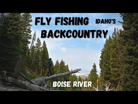 Back Country Boise River | Fly Fishing for Rainbows