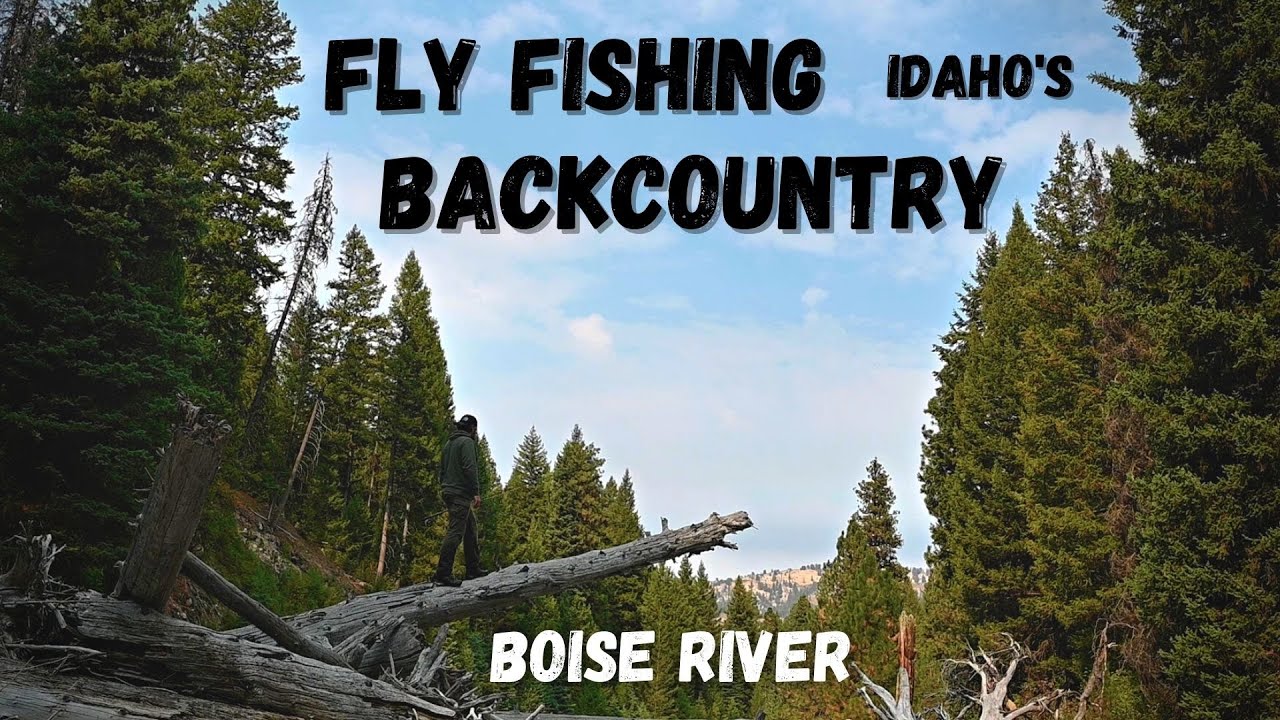 Back Country Boise River Fly Fishing for Rainbows YouTube