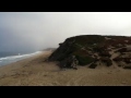 Beach at Sand City