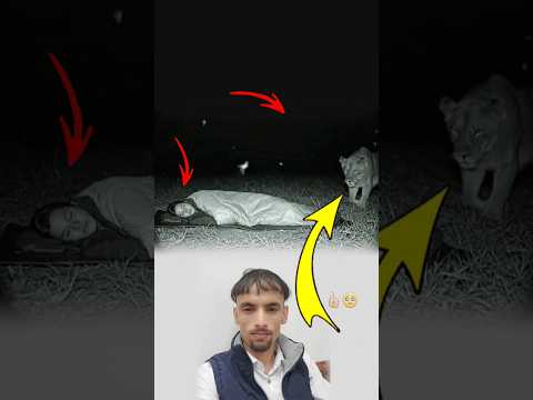 حماك الله من بلاء وسوء كان يأتي إليك فجعله الله لا يعود ولا يراك لايك اكسبلور  