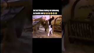 Kedi Ve Sahibi Arasında Komik Ilişki Şfet