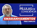 Pílulas da Consciência - Emaranhamentos #fernandofreitascs #conscienciasistemica