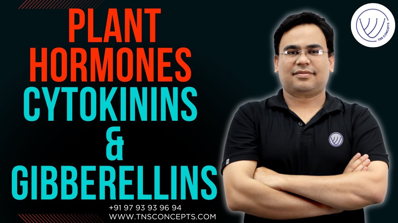 CYTOKININ | GIBBERELLIN | GIBBERELLIC ACID | PLANT HORMONES | TNS CONCEPTS