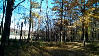 WP 20131109 151725Z