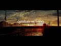 A Super Nice Japanese Song | "cymbals will ring" by fh&aacute;na (Lyrics)