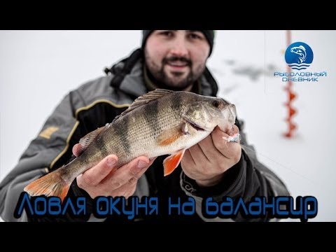 Попытка поймать окуня на балансир по первому...