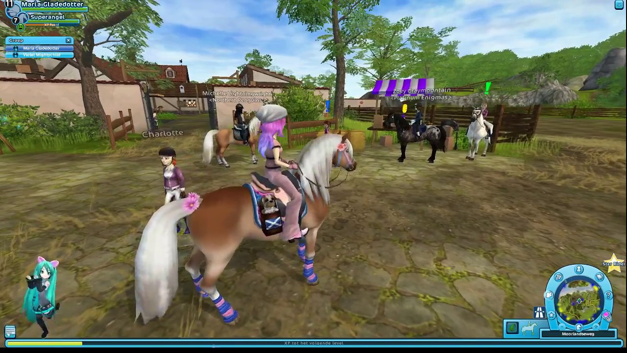 Stars Stable Stars Stable