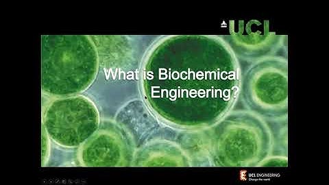 Why Did I Choose to Study Biochemical Engineering at UCL?
