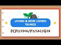 Living and Non-Living Things Quiz