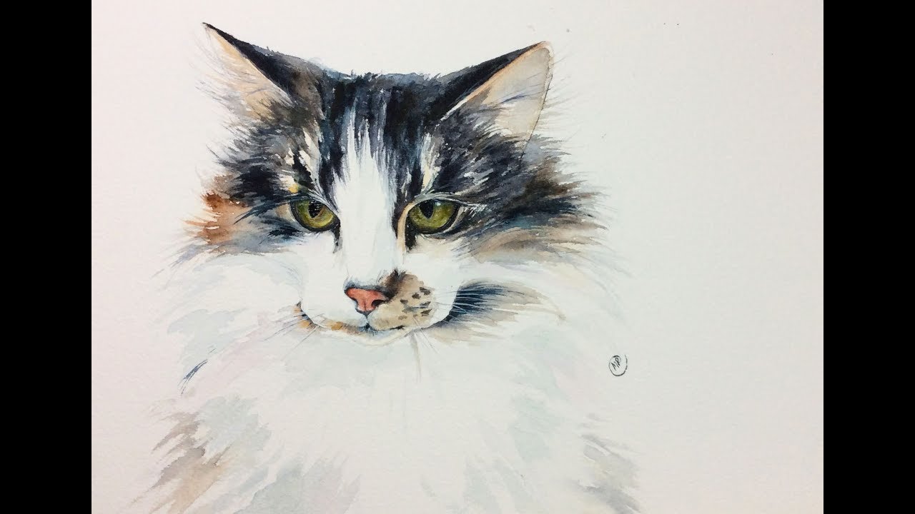  Watercolor Cat  Painting  Tutorial YouTube