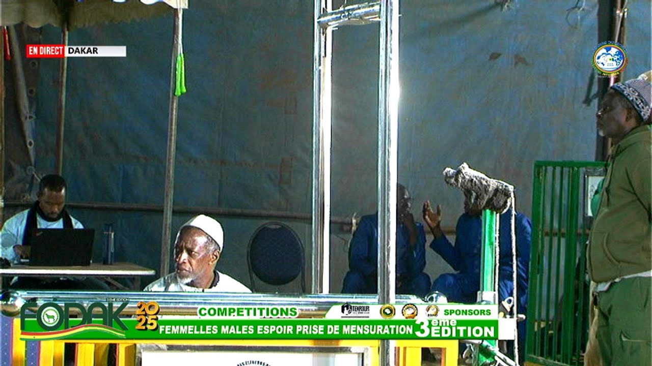 COMPETITIONS FEMELLES MALES ESPOIRE PRISE DE MENSURATION  FOIRE FODAK 2025 3eme EDITION