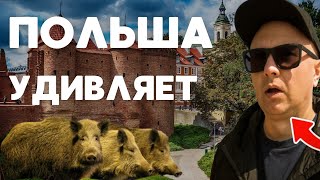 видео: 25 вещей, которые до сих пор шокируют меня в Польше! ЭТО ВАС ТОЧНО УДИВИТ! картинка: 25 вещей, которые до сих пор шокируют меня в Польше! ЭТО ВАС ТОЧНО УДИВИТ!