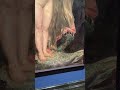 Lovis corinths perseus and andromeda 1900  art artgallery oilpainting painting arthistory