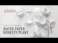 How to make wafer paper honesty plant (money plant, lunaria) | Anna Astashkina