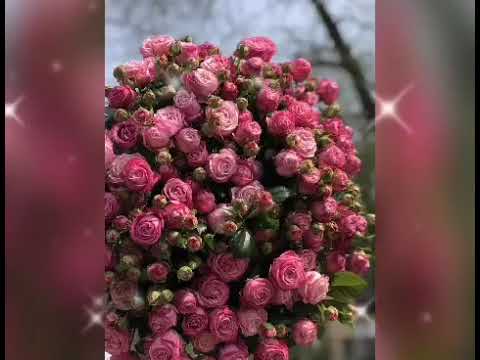 Доброе Утро! Нежное пожелание Доброго Утра! Музыкальная открытка с добрым утром.
