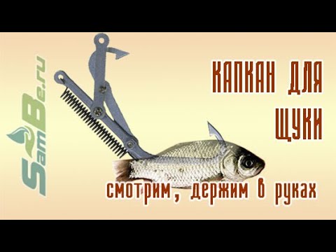 Все о рыбалке — как ловить, где ловить и на что