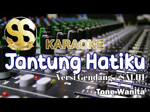 Jantung hatiku_Netty Vera B_karaoke tanpa vokal organ tunggal kn2400.