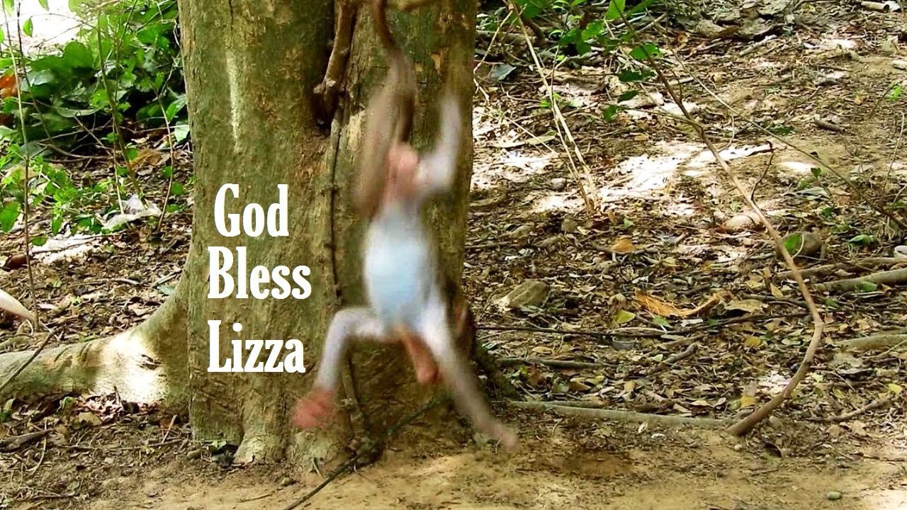 foundry Lizza Falling Head Down, Complain To Mommy lets baby walking And climbing A lot