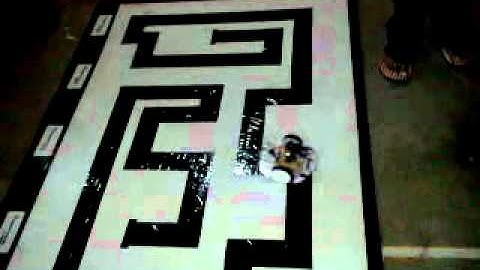 intellecto at  NIT warangal