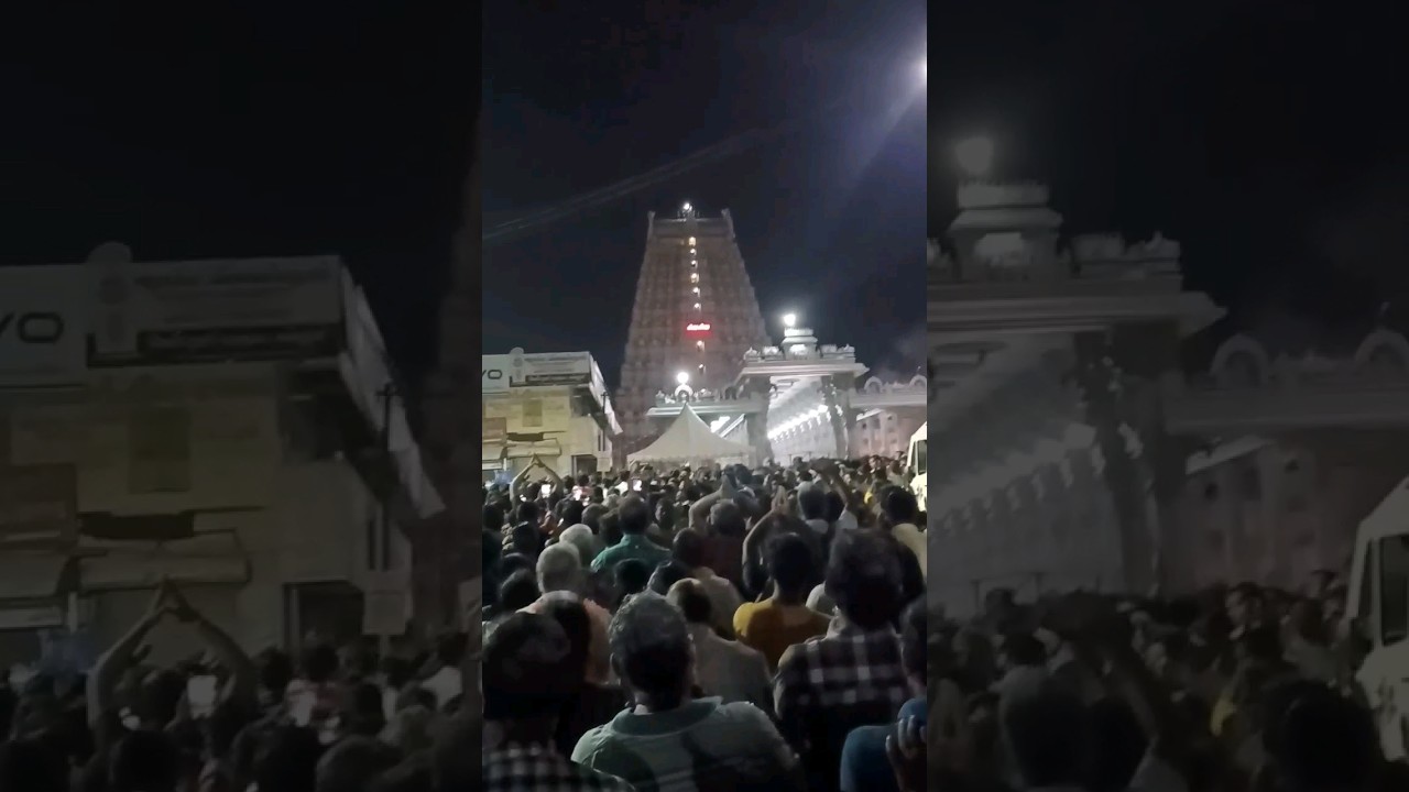 Thiruvannamalai Arunachalaeswarar Temple || Annamalaiyar Temple || Lord Shiva || Temple of Fire