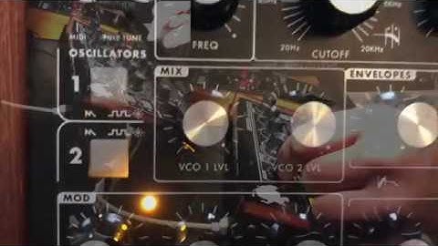 GIUFJ - Intro Video - Moog Minitaur Ambient/ Moogerfooger Phaser/ Boss RV-6 Reverb.