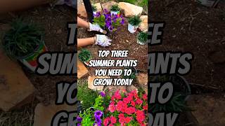 If You Live in America and Want a Stunning Garden — Just Start With These 3 Plants