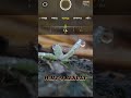 CREATIVE PHOTOGRAPHY IDEA'S WITH MACRO LENS #youtubeshorts #macro #photography #viralvideo
